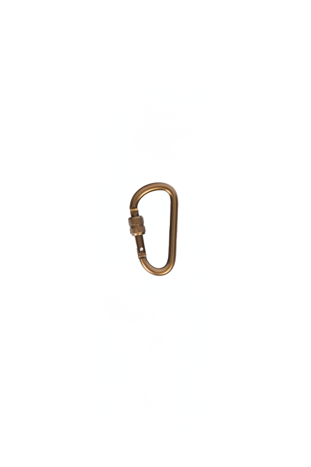 Locking Carabiner